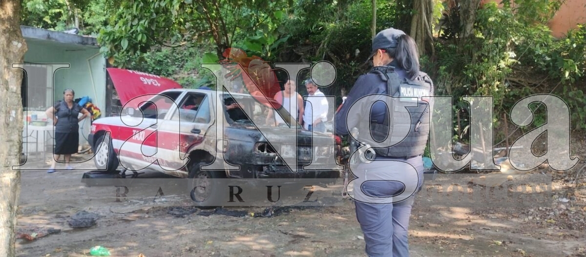 Se incendia, unidad de alquiler en Papantla 4 img 20250706 wa00487931426891955895588