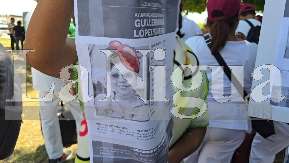 Familiares de adultos mayores desaparecidos en José Azueta piden a Sheinbaum su intervención. 4 img 20250706 wa00845961455569840284911