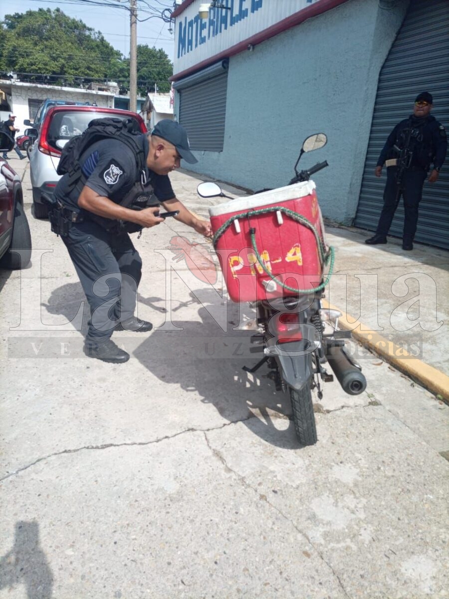 Gato “kamikaze” manda al suelo a repartidor de tortillas en #Coatzacoalcos 3 img 20250709 wa00688697785166235286062