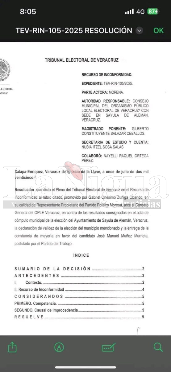 Queda firme triunfo de José Manuel Muñoz Murrieta como alcalde electo de Sayula de Alemán. 2 img 20250711 wa01182928017773520418963