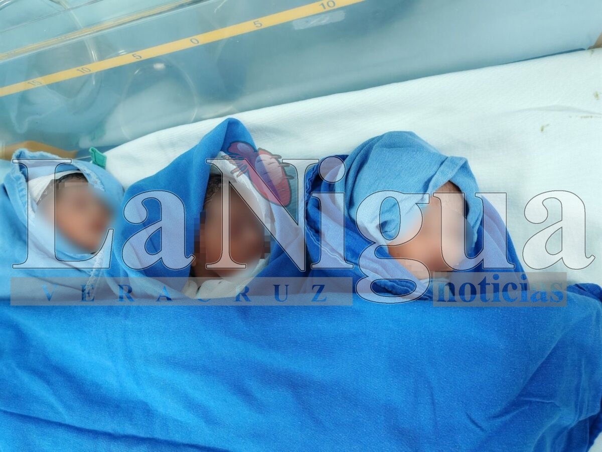 Nacen trillizos en Hospital General Regional No. 1 del IMSS Veracruz Sur 4 img 20250714 wa0097116607107524614198