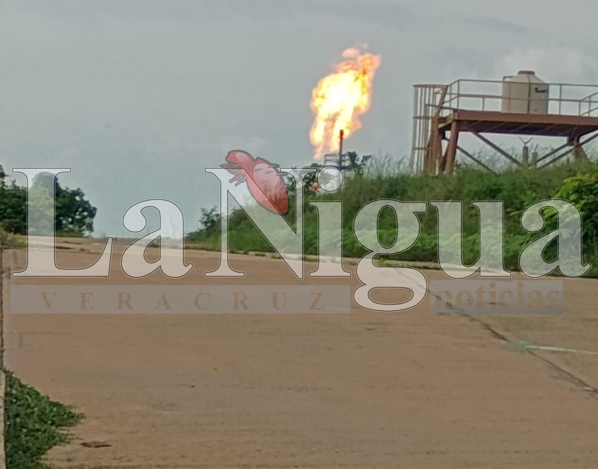 PEMEX causa desastre ambiental en San Juan Evangelista 5 img 20250718 wa01682998624546577601975