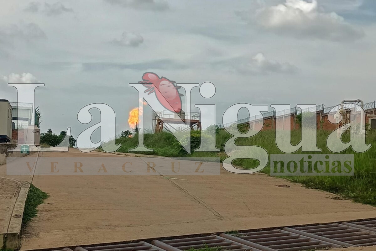 PEMEX causa desastre ambiental en San Juan Evangelista 4 img 20250718 wa01694468238165249585268