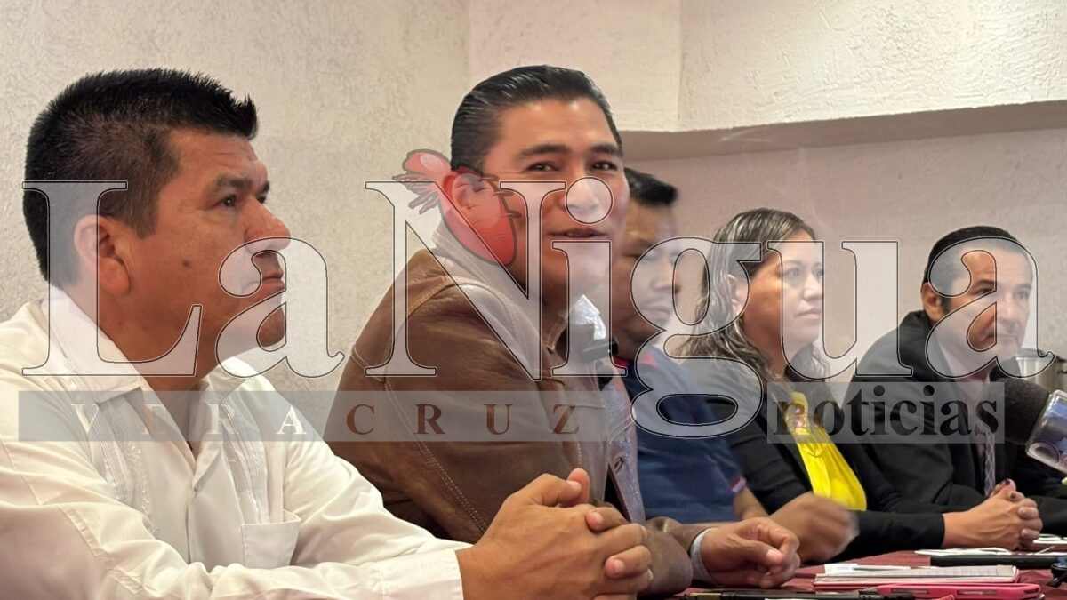 Presentan proyecto para conformar el Partido Independiente de Veracruz 2 img 20250720 wa00753191569552735702504