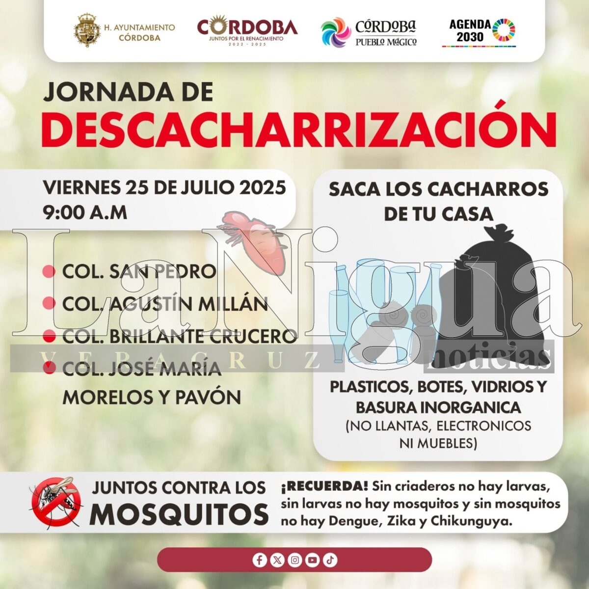 Implementarán acciones de Descacharrización para la eliminación de criaderos de mosco transmisor del Dengue 1 img 20250721 wa00204093676573296830779
