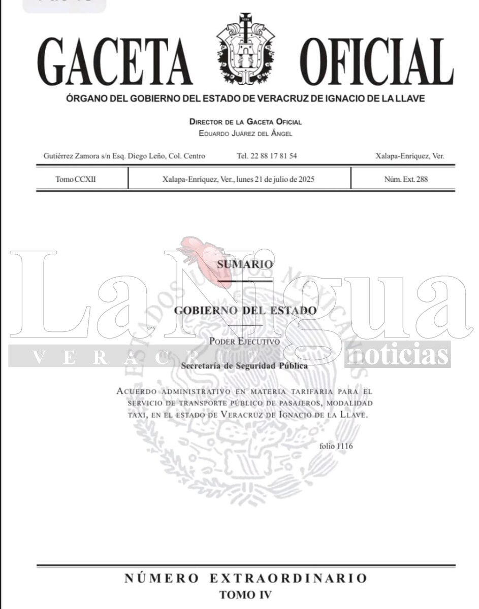 Por decreto estatal, entran en vigor nuevas tarifas de taxi en Papantla 4 img 20250721 wa0135334396373561621462