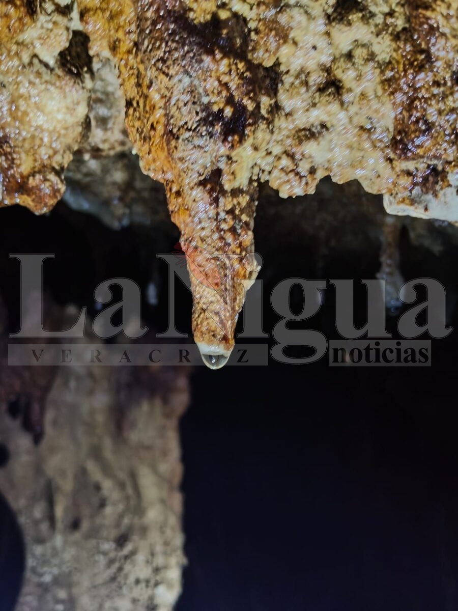 Impulsan conservación de cavernas en la zona de las Altas Montañas para fomentar el turismo y la economía local 3 img 20250722 wa00246471079767650498590