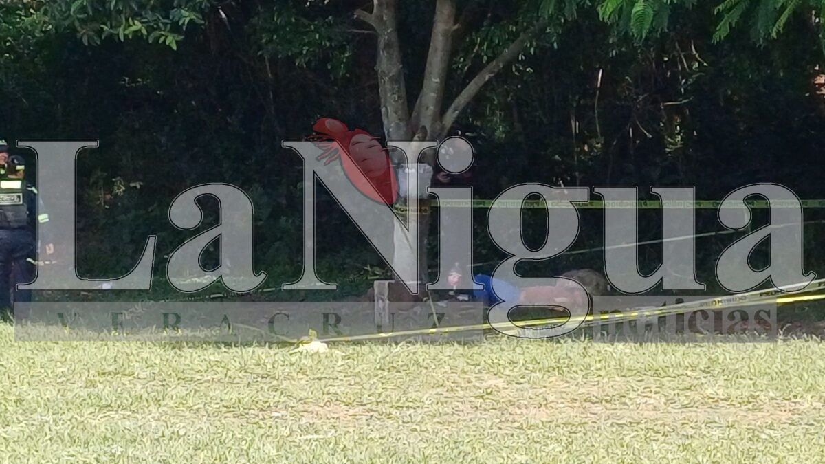 Hallan a hombre asesinado a pedradas en campo deportivo de Córdoba 1 img 20250722 wa00325215355294399134745