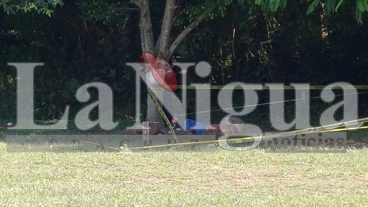 Encuentran a Hombre sin Vida en Zona Utilizada por Personas en Situación de Calle. 12 img 20250722 wa00336719386630394536837