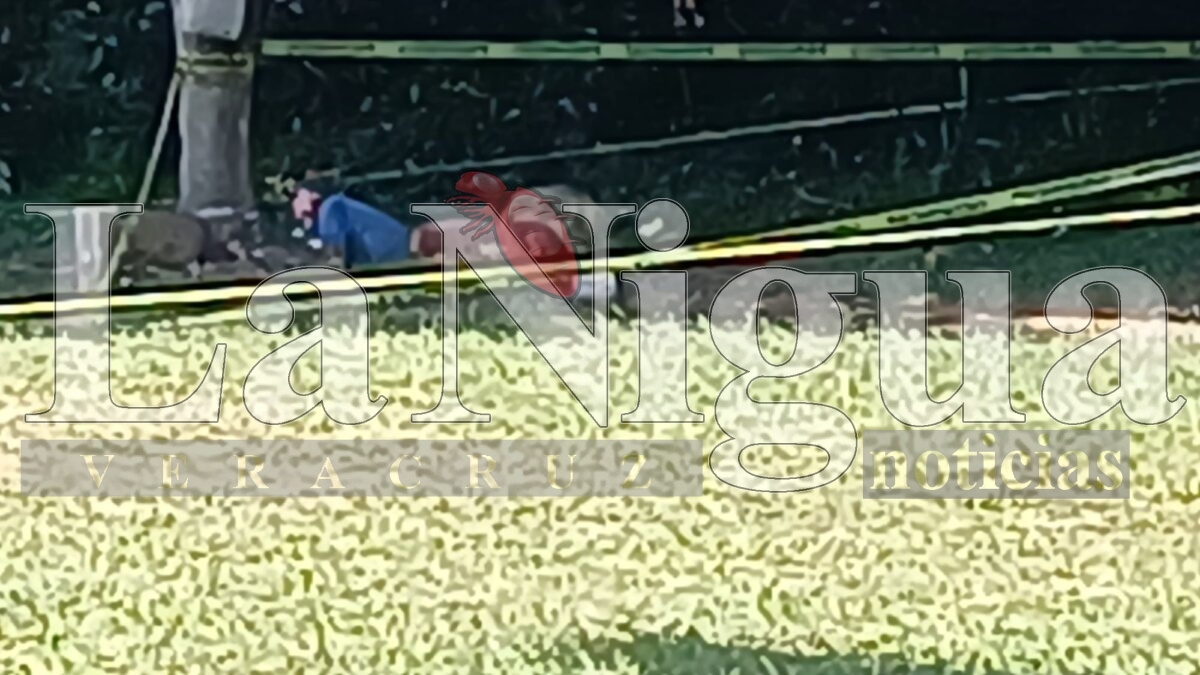 Encuentran a Hombre sin Vida en Zona Utilizada por Personas en Situación de Calle. 11 img 20250722 wa00392304488425591351527