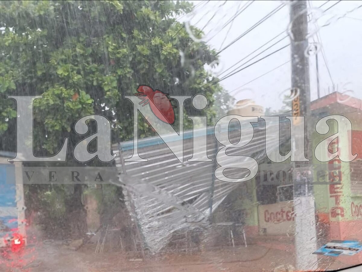 Tormenta eléctrica derriba árboles y techos en Acayucan. 5 img 20250723 wa0151265842458907511322