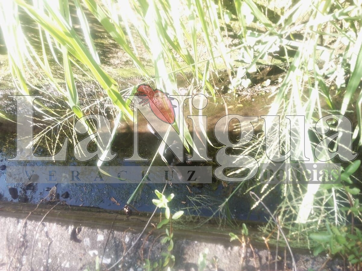 img 20250725 wa00114021699747241487000
