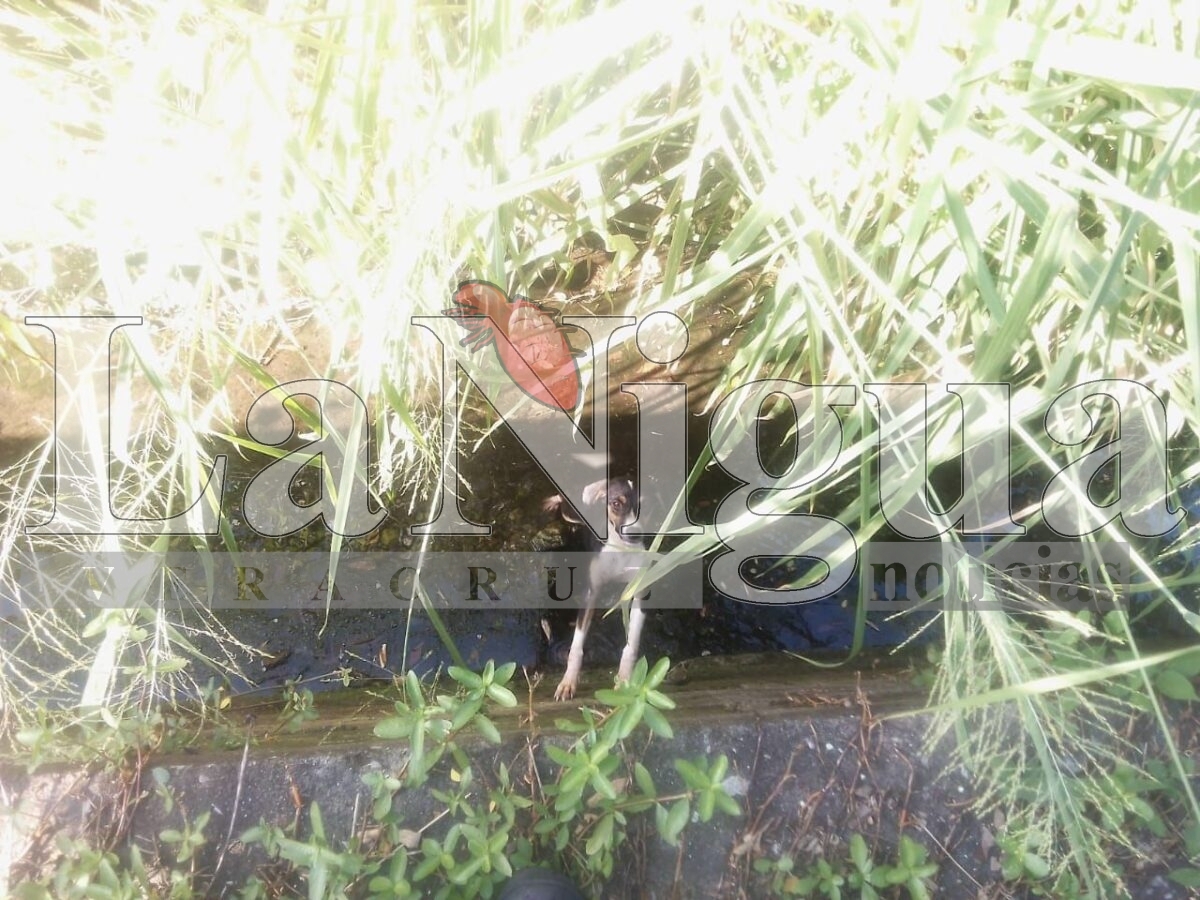 img 20250725 wa00126386040243431876184