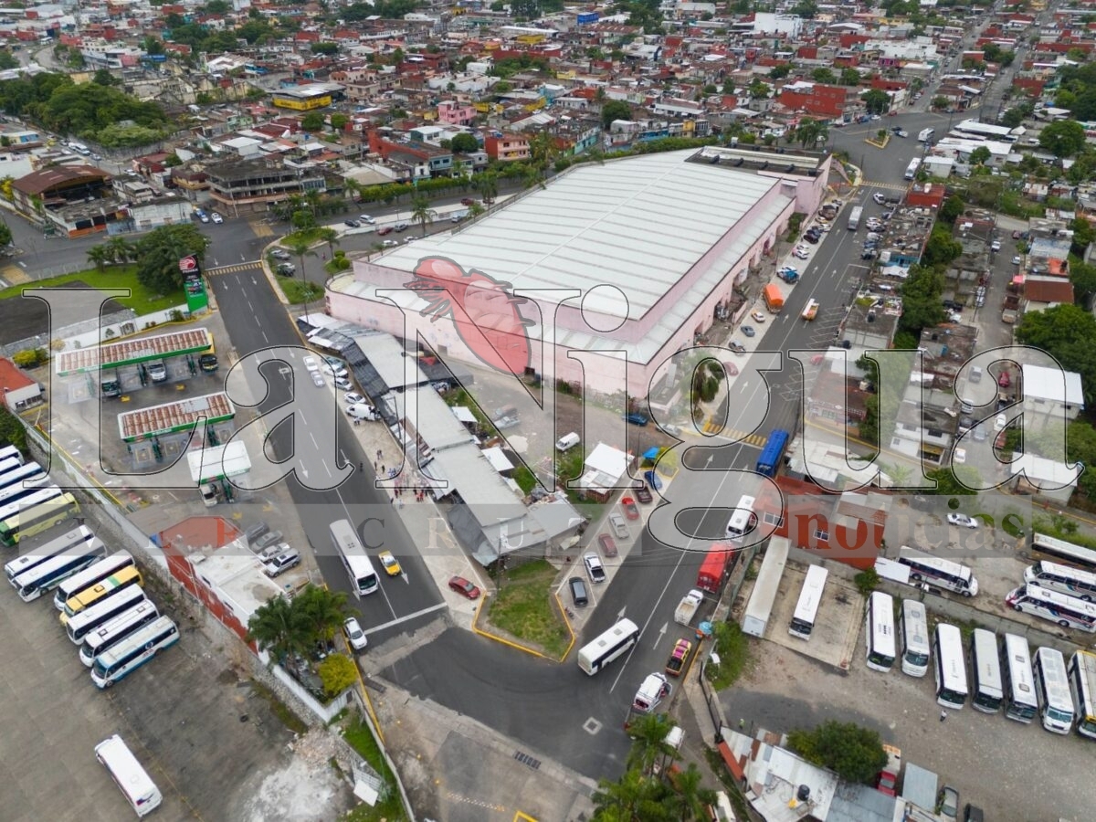 Entrega Ayuntamiento de Córdoba obras en las colonias Miraflores II y Agustín Millán 12 img 20250729 wa00403291341567459387697