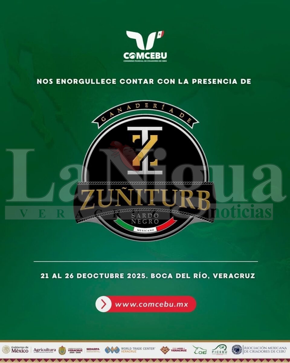 Ganadería Zuñiturb lleva genética bovina mexicana a Estados Unidos. 6 img 20250731 wa00278137763651629796894