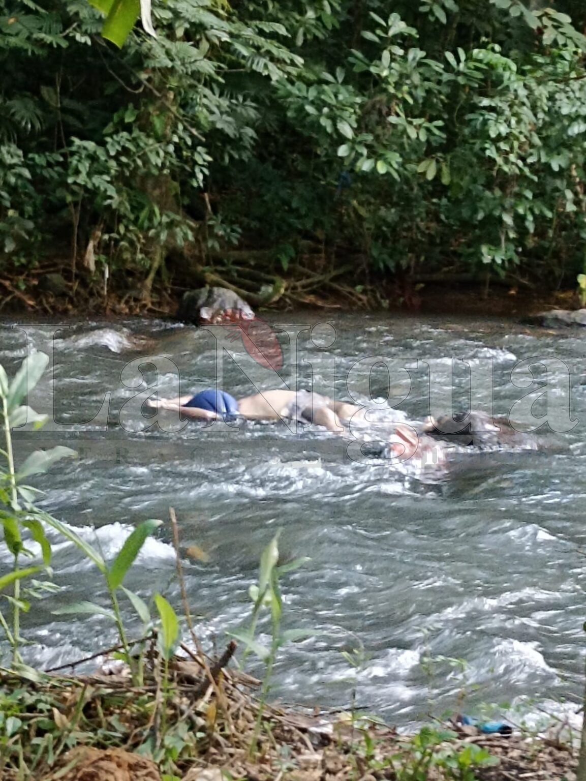 Docente es encontrado sin vida en Tezonapa; autoridades investigan posible vínculo con presunto caso de abuso.