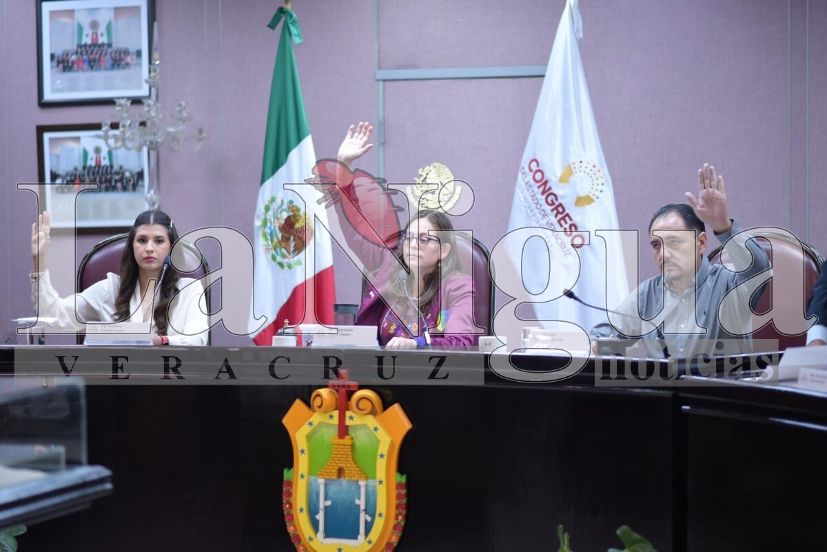 Busca Ayuntamiento de Córdoba actualizar su Código Hacendario