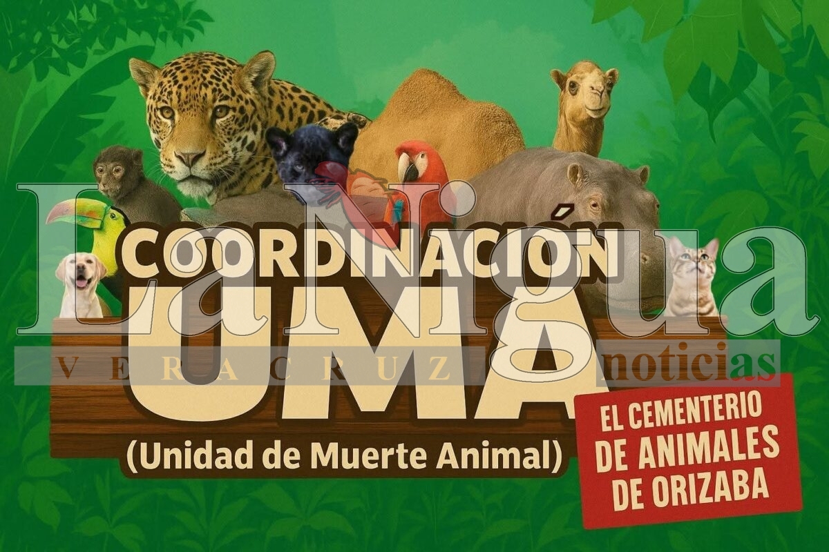 Exigen investigar muerte de león en el Paseo del Río de Orizaba