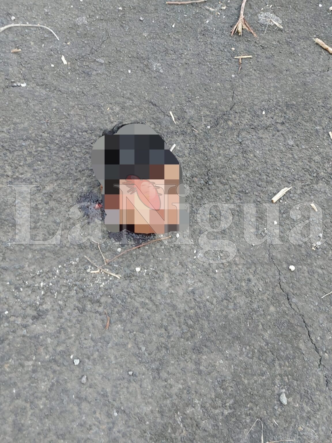 Identifican a hombre decapitado hallado en la carretera Las Choapas–Paralelo