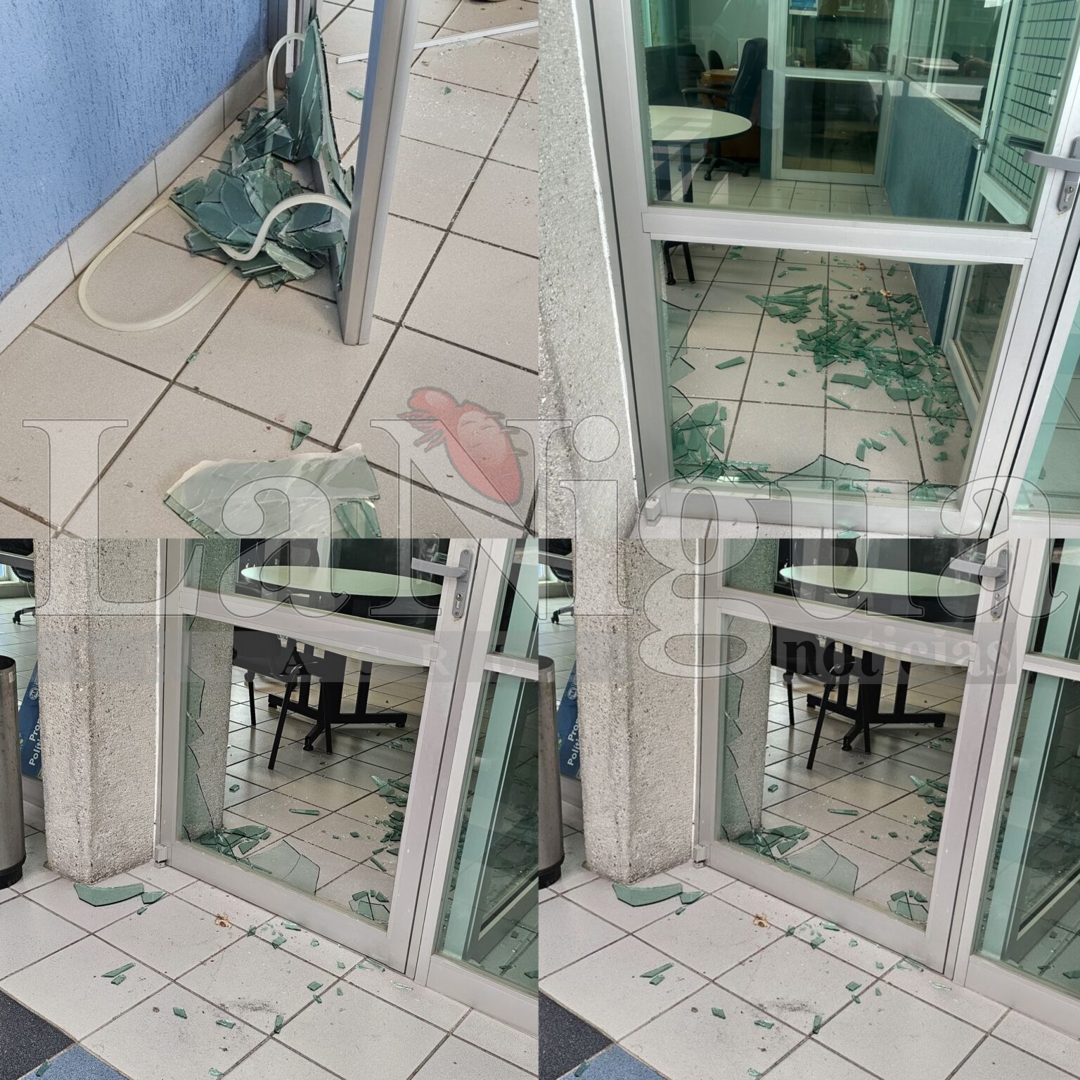 Denuncia diputada panista Monserrat Ortega vandalización de su oficina en el CDE del PAN