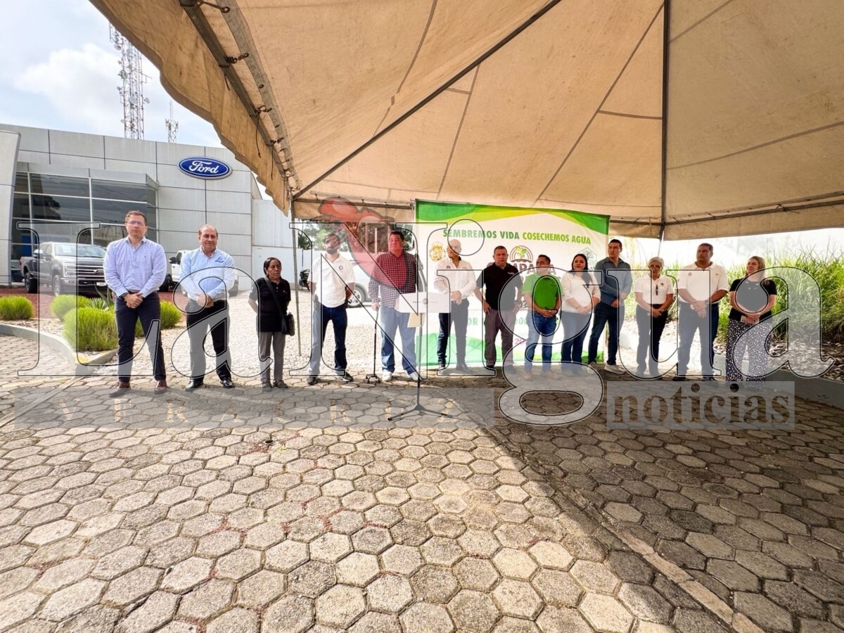Se siembran árboles en Boulevard Tratados de Córdoba