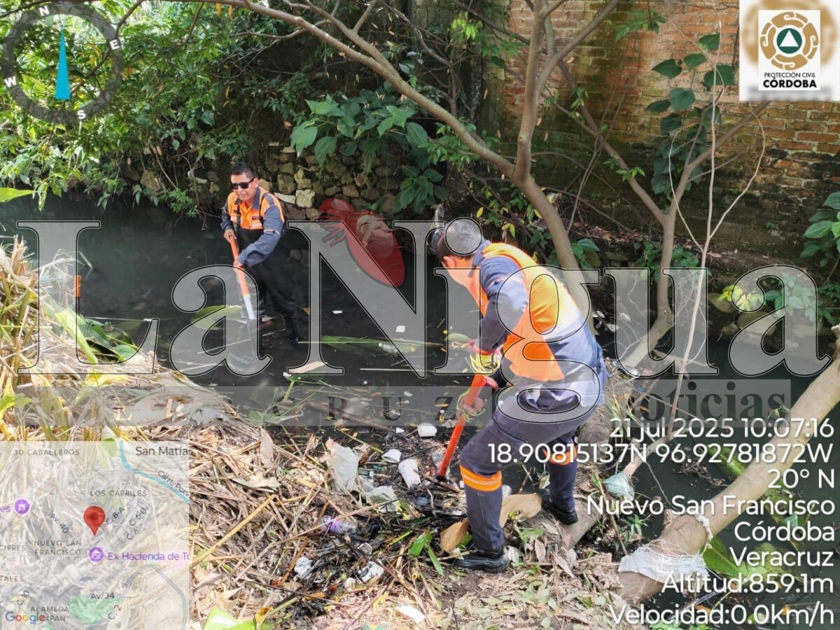 Retira Protección Civil árbol caído en arroyo de respuesta rápida