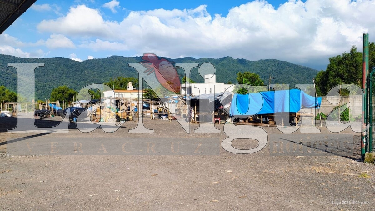 Comerciantes acusan incumplimiento en obra del mercado municipal de Rafael Delgado 2 img 20250803 wa00705150054114188223504