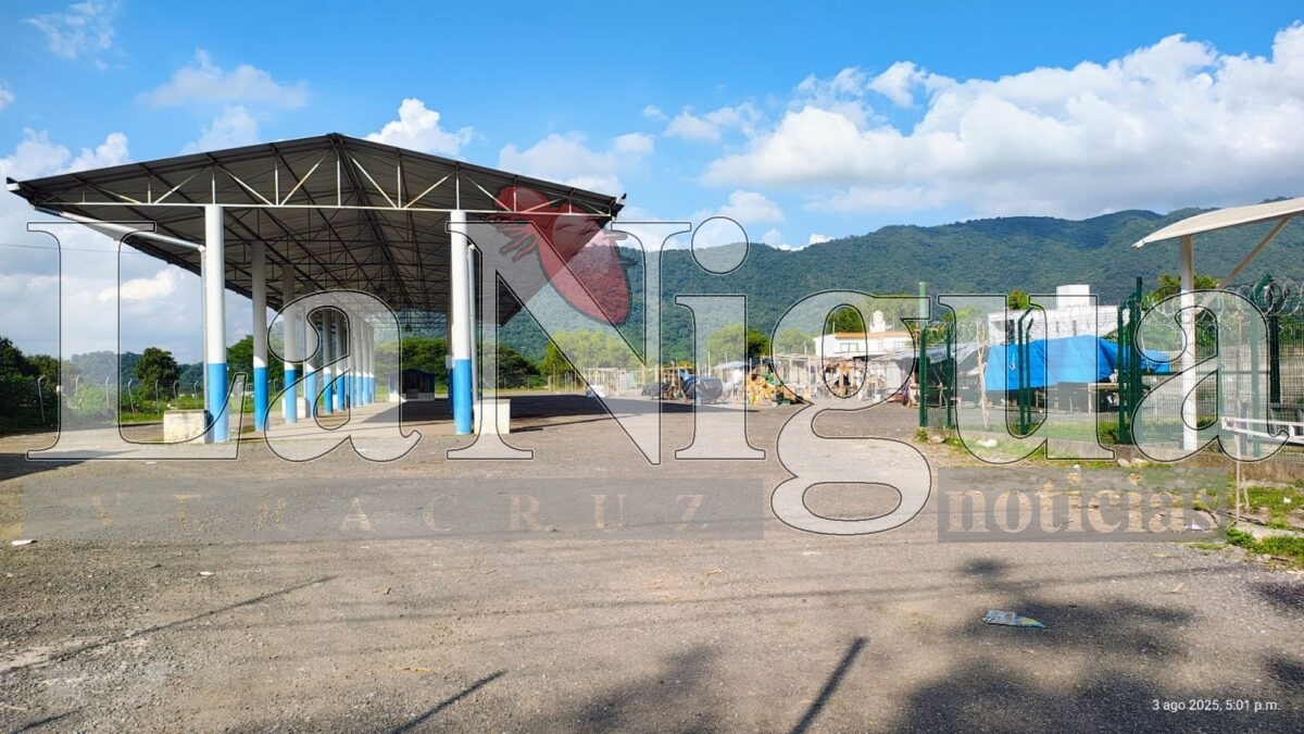 Comerciantes acusan incumplimiento en obra del mercado municipal de Rafael Delgado 3 img 20250803 wa00752012843271889200324