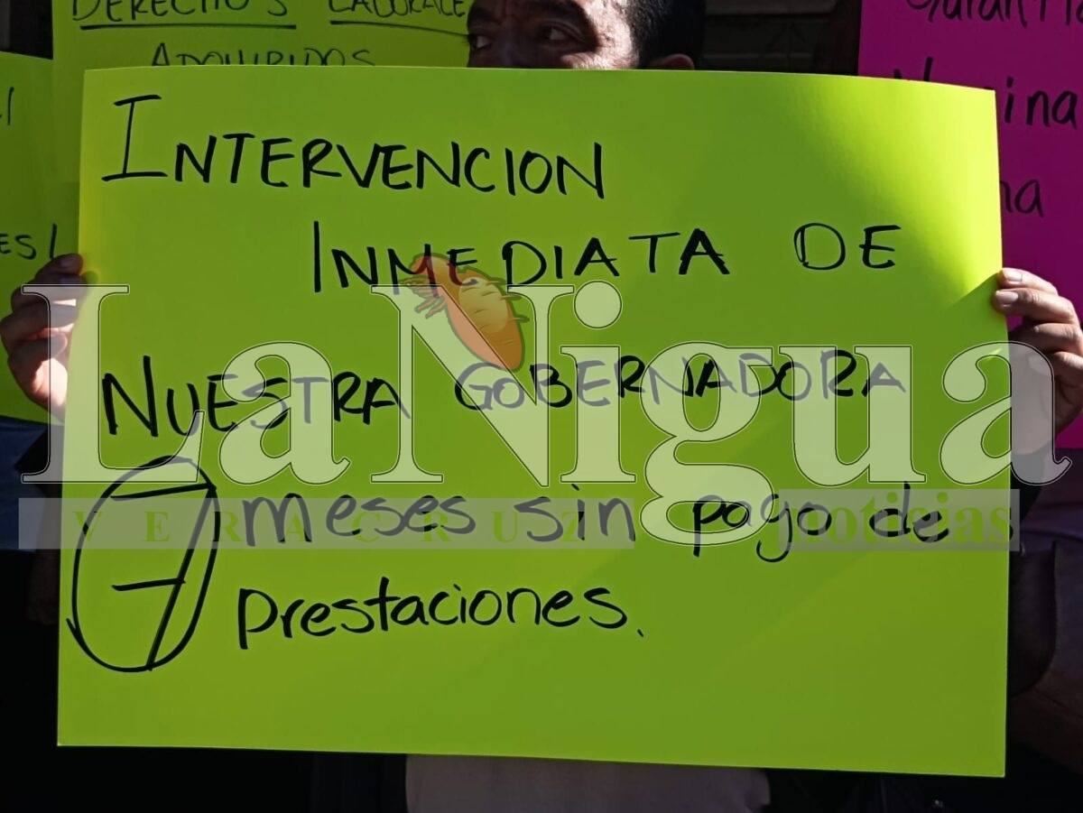 Trabajadores de tecnológicos toman oficinas de Sefiplan en Xalapa; exigen pago de prestaciones atrasadas 6 img 20250804 wa00081985198898965955541