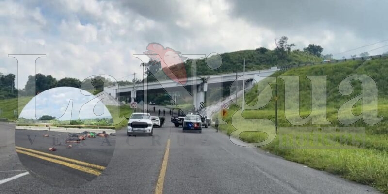 Hallan cuerpos descuartizados en la carretera Cazones– Poza Rica 6 img 20250804 wa0020202076112260767609