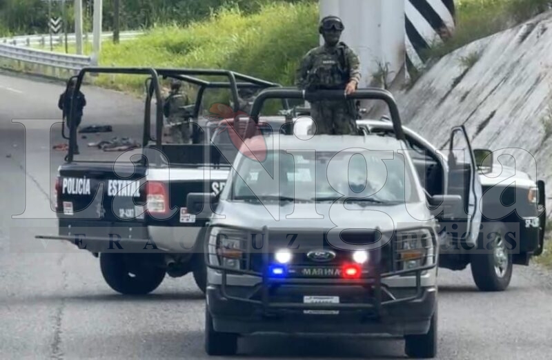 Hallan cuerpos descuartizados en la carretera Cazones– Poza Rica 3 img 20250804 wa00269050682351267933574