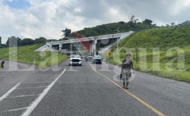 Hallan cuerpos descuartizados en la carretera Cazones– Poza Rica 1 img 20250804 wa00275009703233262271887