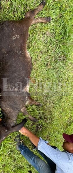 Habitantes de San Juan Evangelista que han sido afectados por PEMEX, paran el abasto de gas en Macropera Gasífero 2 8 img 20250804 wa00395355138789907862919