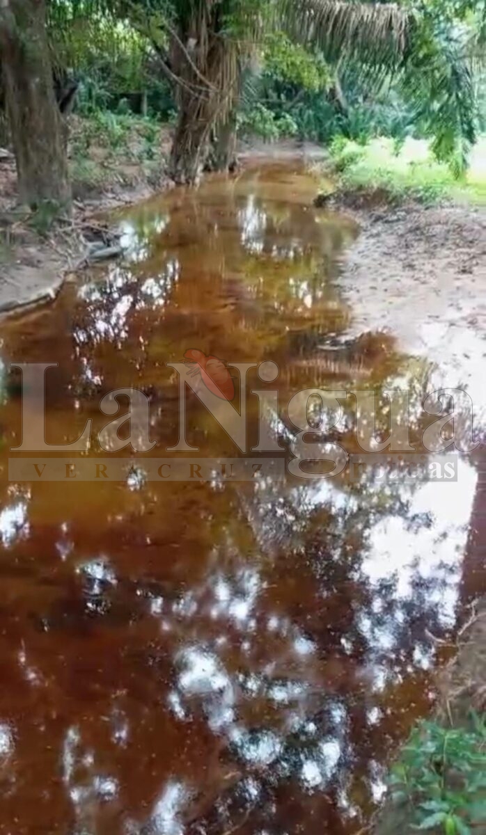 Habitantes de San Juan Evangelista que han sido afectados por PEMEX, paran el abasto de gas en Macropera Gasífero 2 5 img 20250804 wa00452642192986167617623
