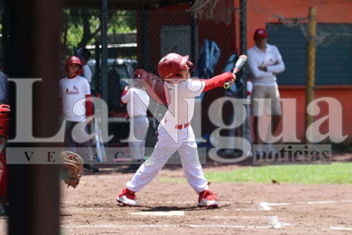 Medellín sede de Campeonato Nacional Infantil de Béisbol 5 img 20250804 wa00668791645898824077881