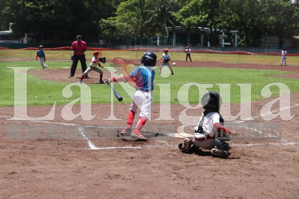 Medellín sede de Campeonato Nacional Infantil de Béisbol 2 img 20250804 wa00672195240495332726035
