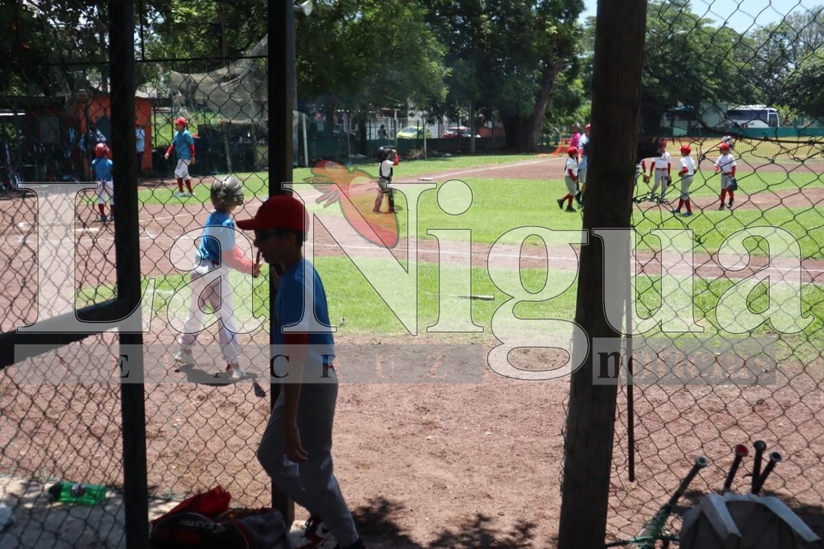 Medellín sede de Campeonato Nacional Infantil de Béisbol 4 img 20250804 wa00685713827032419902401