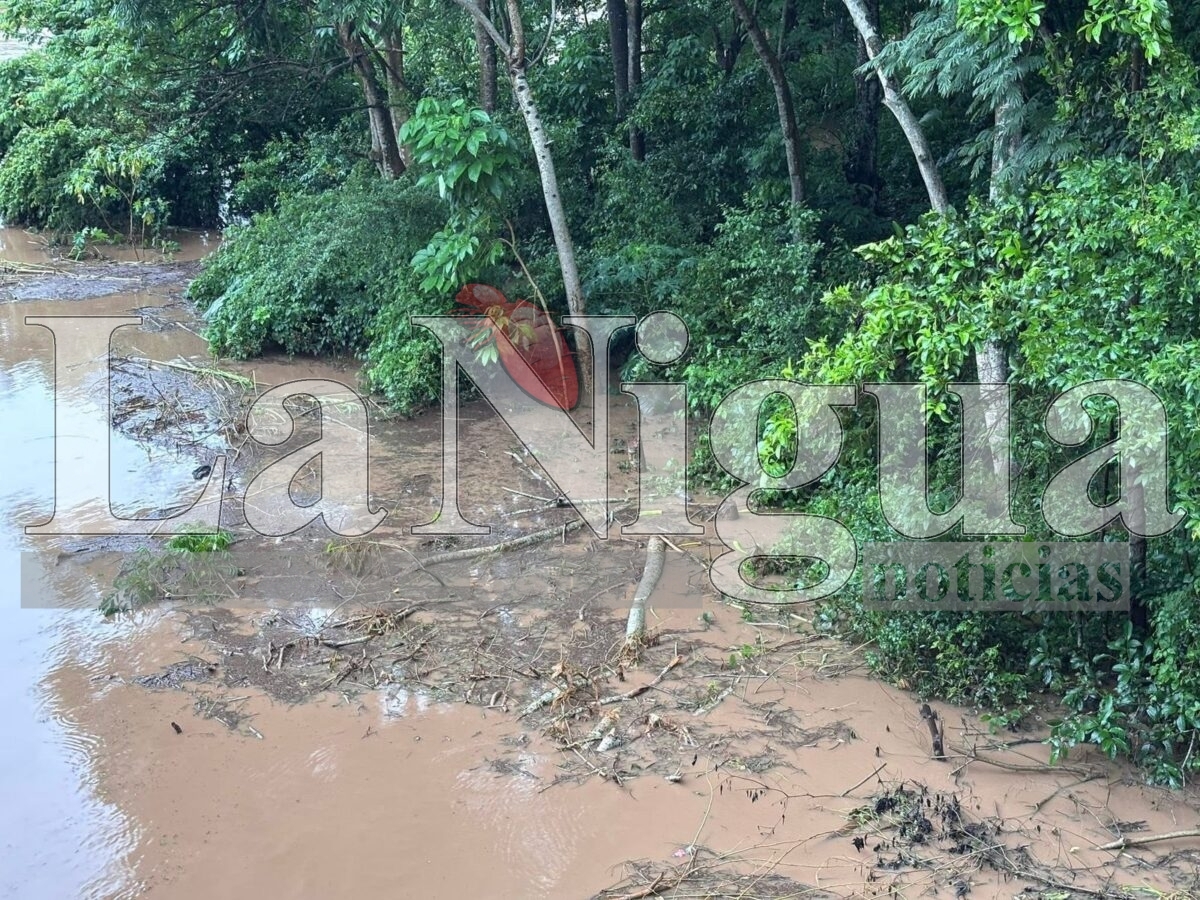 Ríos desbordándose en Hueyapan tras paso de la Onda Tropical 20; Protección Civil activa recorridos preventivos. 23 img 20250806 wa00112823923410127611504