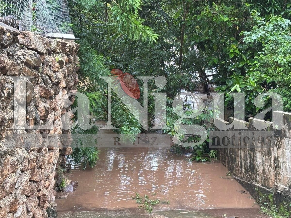 Ríos desbordándose en Hueyapan tras paso de la Onda Tropical 20; Protección Civil activa recorridos preventivos. 22 img 20250806 wa00145864728106193711237