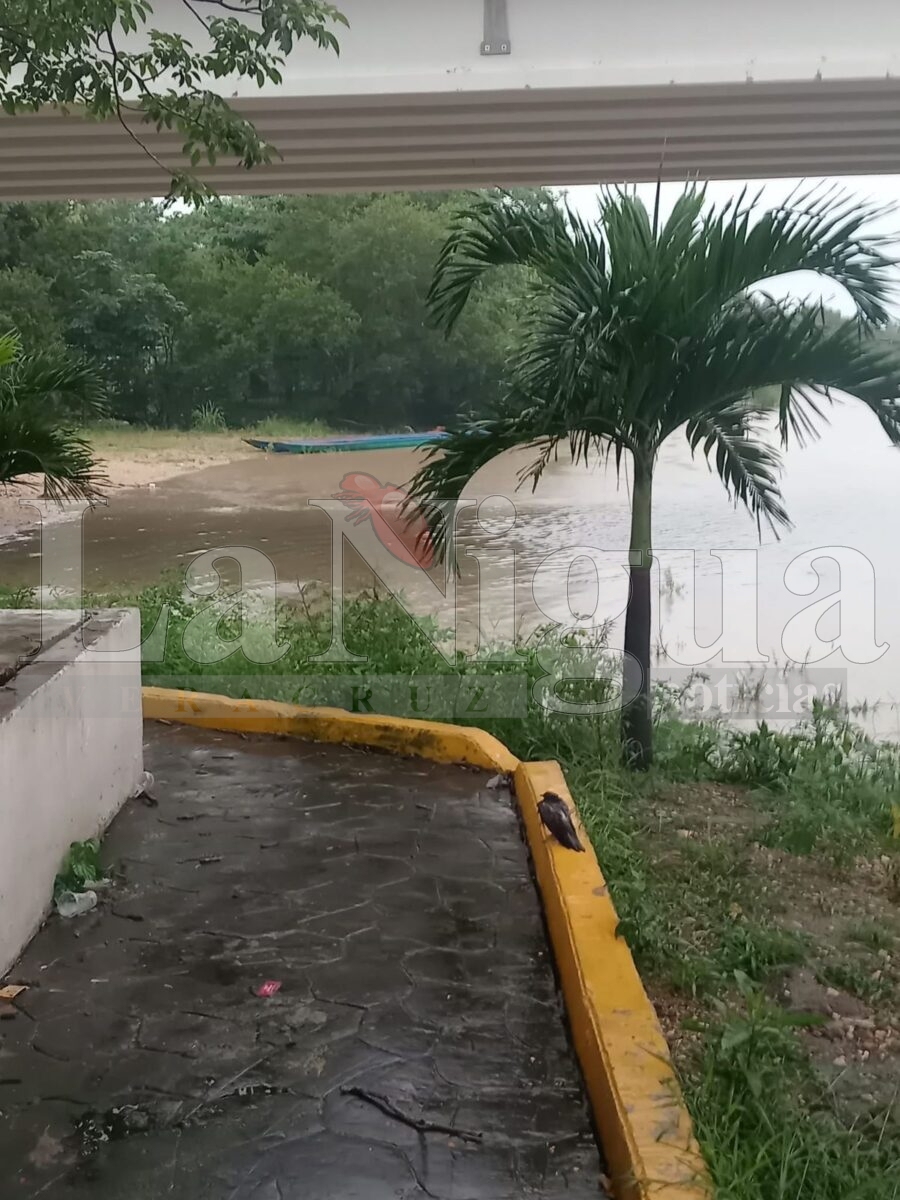 Ríos desbordándose en Hueyapan tras paso de la Onda Tropical 20; Protección Civil activa recorridos preventivos. 12 img 20250806 wa00431521699120507860773