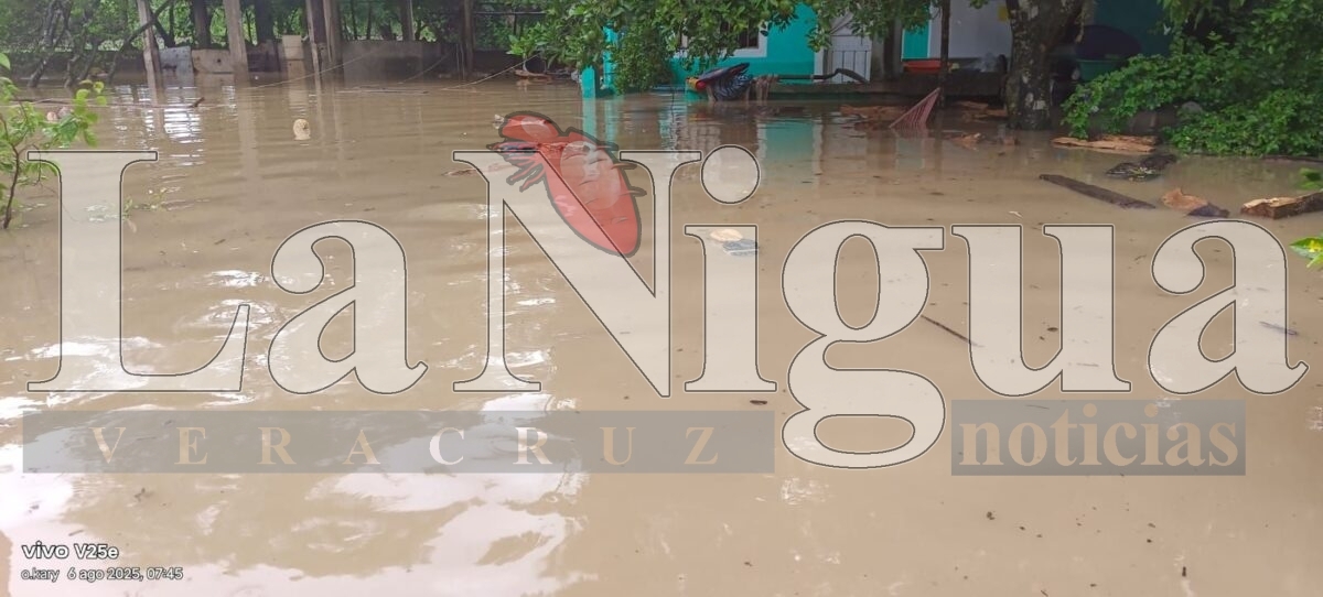 Ríos desbordándose en Hueyapan tras paso de la Onda Tropical 20; Protección Civil activa recorridos preventivos. 9 img 20250806 wa00504384331425890473131