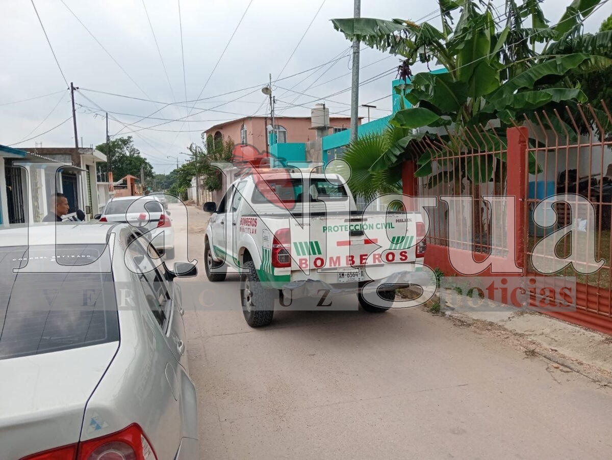 Capturan a lagarto en domicilio de Minatitlán; fue hallado entre plantas de ornato 3 img 20250806 wa01208918076009862994279