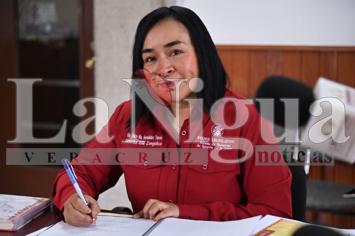 Avala Comisión Especial plan de trabajo para el impulso de la vainilla veracruzana 4 img 20250806 wa0150265245185176591441