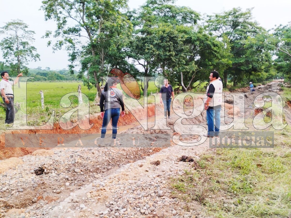 Más de 300 vivienda de San Juan Evangelista fueron impactadas por inundaciones 4 img 20250808 wa00648437463060007176926