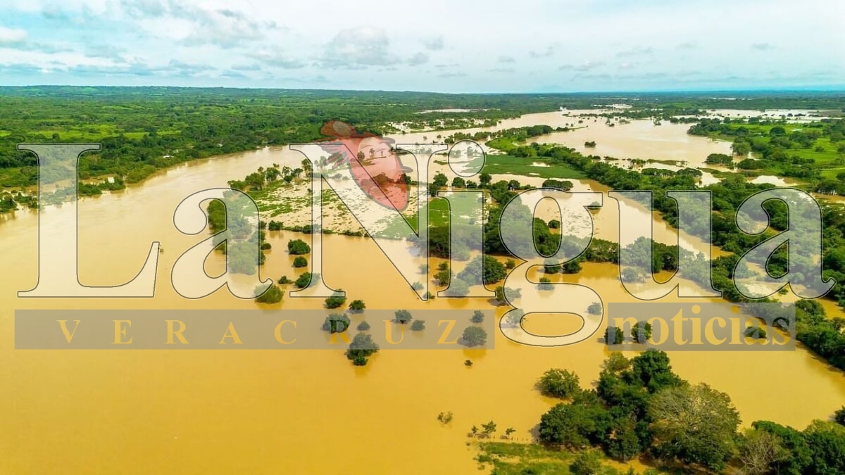 Más de 300 vivienda de San Juan Evangelista fueron impactadas por inundaciones 12 img 20250808 wa00658472204520434620268