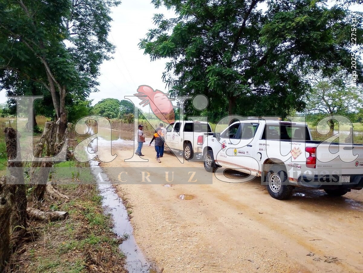 Más de 300 vivienda de San Juan Evangelista fueron impactadas por inundaciones 5 img 20250808 wa00661001237596711602432