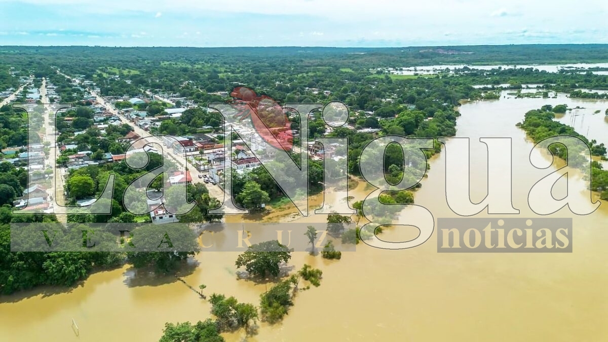 Más de 300 vivienda de San Juan Evangelista fueron impactadas por inundaciones 9 img 20250808 wa0068216565812634341953