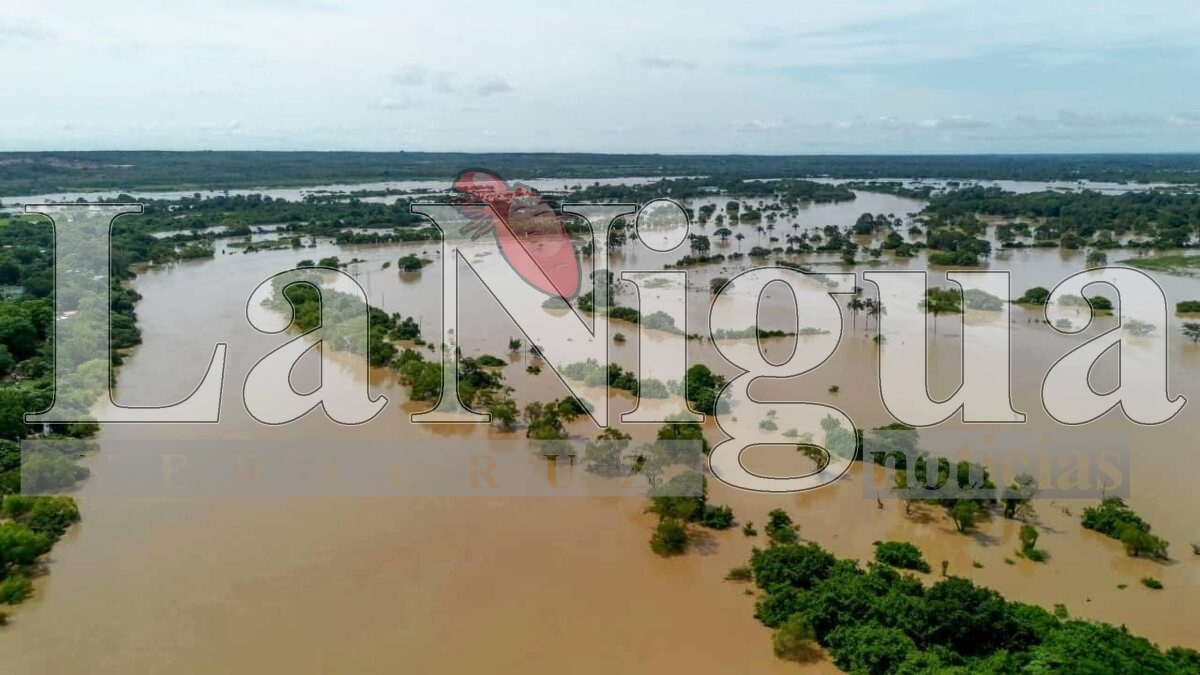 Más de 300 vivienda de San Juan Evangelista fueron impactadas por inundaciones 10 img 20250808 wa00695135990773847940034