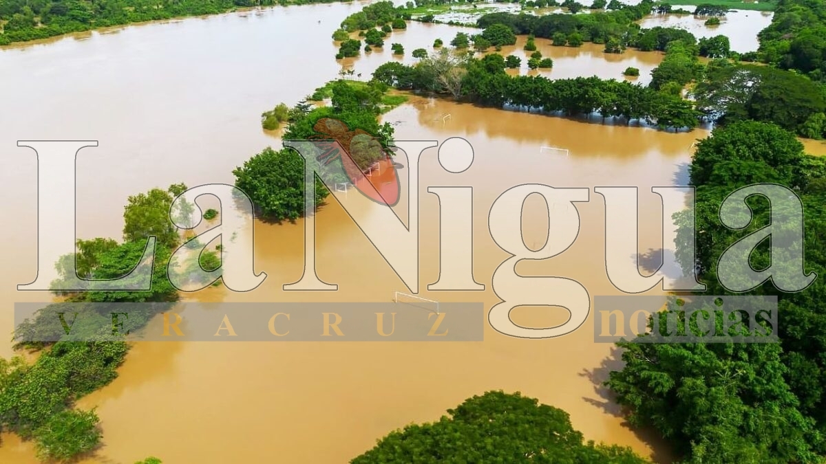 Más de 300 vivienda de San Juan Evangelista fueron impactadas por inundaciones 11 img 20250808 wa00707600110350518206036