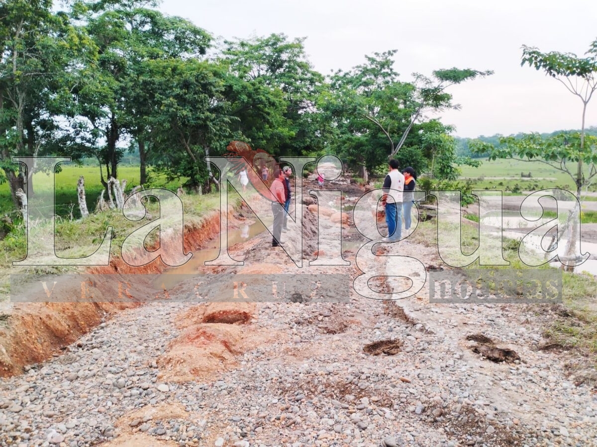 Más de 300 vivienda de San Juan Evangelista fueron impactadas por inundaciones 3 img 20250808 wa00731051635979808739255